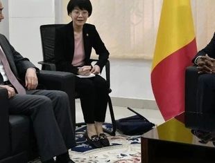 乍得总理哈里纳会见王毅