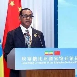 埃塞俄比亚大使点赞中国零关税政策：为埃塞带来广阔机遇