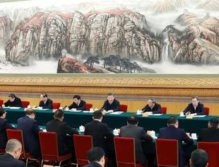 习近平：民营经济发展前景广阔大有可为 民营企业和民营企业家大显身手正当其时