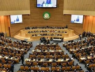 非盟的思考与峰会的声音