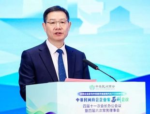 吴严明：建设一流商会，引领企业开展对非经贸合作