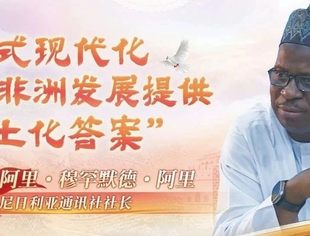尼日利亚通讯社社长：中国式现代化为非洲发展提供“本土化答案”