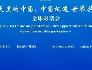 “春天里的中国”全球对话会塞内加尔专场在达喀尔举行