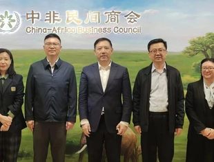 呼和浩特市王昆副市长一行到中非民间商会交流