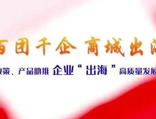 金融政策、产品助推企业“出海”高质量发展交流会召开
