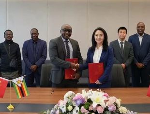 会员动态丨联动优势首批非洲科技出海项目整体验收完成