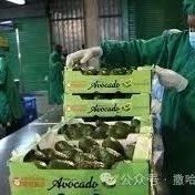 一季度中国对肯尼亚进出口规模创历史同期新高