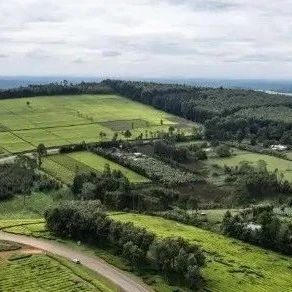 做现代化道路上的同行者和真朋友——中肯携手书写共同发展的故事