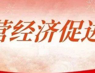 理事长专题丨全国工商联副主席、中非民间商会理事长、特变电工股份有限公司董事长张新：为奋力推进中国式现代化贡献民营经济力量