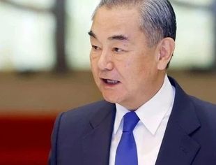 王毅集体会见非洲国家驻华使节时的讲话