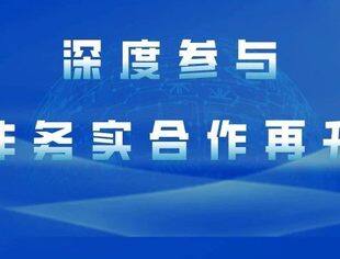 深度参与2025中国—非洲经贸博览会 推动中非务实合作再升级