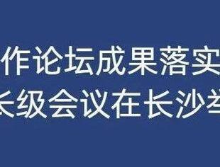 中非合作论坛成果落实协调人部长级会议在长沙举行
