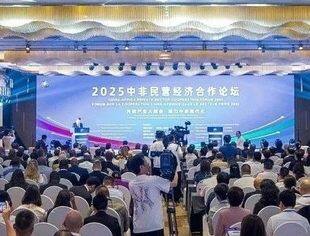《中非民营企业参与中非携手推进现代化十大伙伴行动倡议》在长沙发布