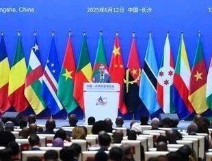 第四届中国—非洲经贸博览会在长沙举行