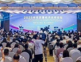 2025中非民营经济合作论坛在长沙举办