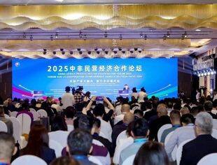 2025中非民营经济合作论坛在湖南长沙举办