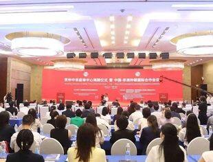 贸仲中非庭审中心揭牌仪式暨中非仲裁国际合作会议在长沙举行