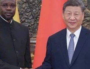 习近平会见塞内加尔总理松科