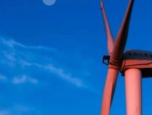 “十四五”以来中国电力企业对非洲电力领域投资累计达2.72亿美元