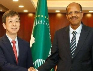 新任驻非盟使团团长蒋烽大使向非盟委员会主席递交任命书