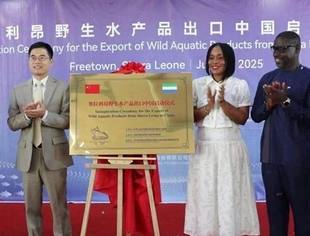 驻塞拉利昂大使出席塞野生水产品出口中国启动仪式