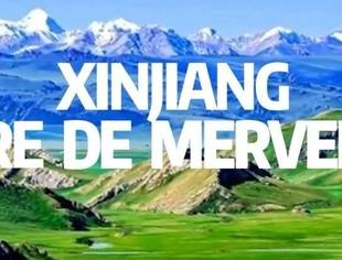 《新疆是个好地方》纪录片在尼日尔第二大城市上映