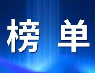2025中国制造业民营企业500强榜单