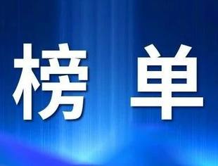 2025中国民营企业500强榜单