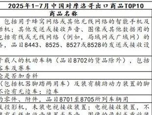 掘金北非市场:中摩贸易逆势增长19.1%,这些领域正在爆发式增长!