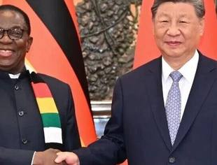 习近平会见津巴布韦总统姆南加古瓦