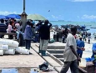 摩洛哥出口凤尾鱼占非洲出口总量87%