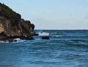 时事思考 | 津巴布韦旅游业发展旺盛,“黄金币”稳定有望