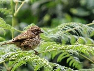 多元化体验激发中国游客赴肯尼亚旅游热