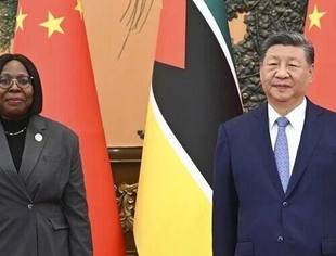 习近平会见莫桑比克总理莱维