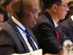 中非农业科技创新联盟大会聚焦农业现代化