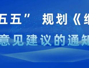 【全国工商联】关于 “十五五” 规划《纲要》意见建议的征集