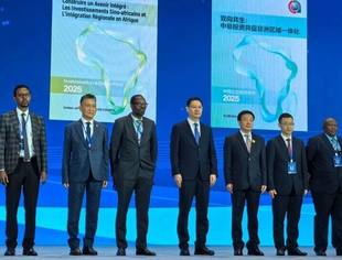 《中国企业投资非洲报告2025》发布（附下载链接）