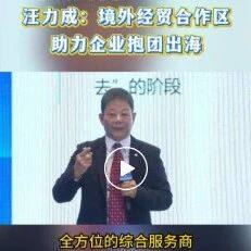 汪力成：境外经贸合作区助力企业抱团出海