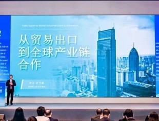 汪力成：从“贸易出口”到“自主掌控价值链”