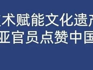 数字技术赋能文化遗产传承 赞比亚官员点赞中国经验