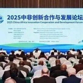 2025中非创新合作与发展论坛在武汉开幕