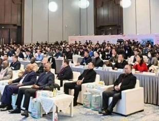 高水平对非合作 高质量中非经贸——2025第四届中非经贸西湖大会暨中非经贸合作资源对接会在杭州成功举办