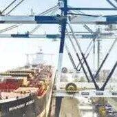 零关税，让更多非洲产品丰富中国市场