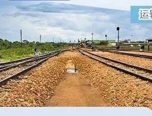 坦赞铁路繁荣带建设启动中非高质量合作