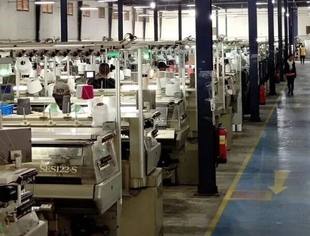 针藏匠心，线连世界——鹿王集团织出全球化的锦绣山河