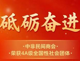 中非民间商会荣获民政部全国性社会团体4A等级