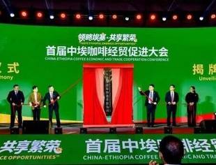 首届中埃塞咖啡经贸促进大会在株洲举行