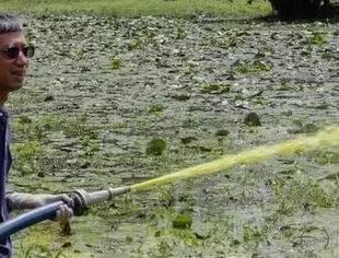 和中国专家一起在桑给巴尔“灭螺”