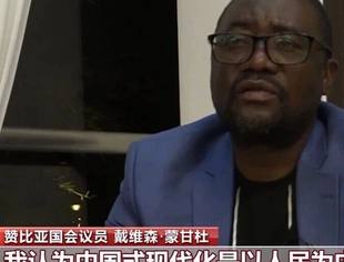 国际人士：中国发展经验值得其他国家学习借鉴