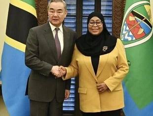 坦桑尼亚总统哈桑会见王毅